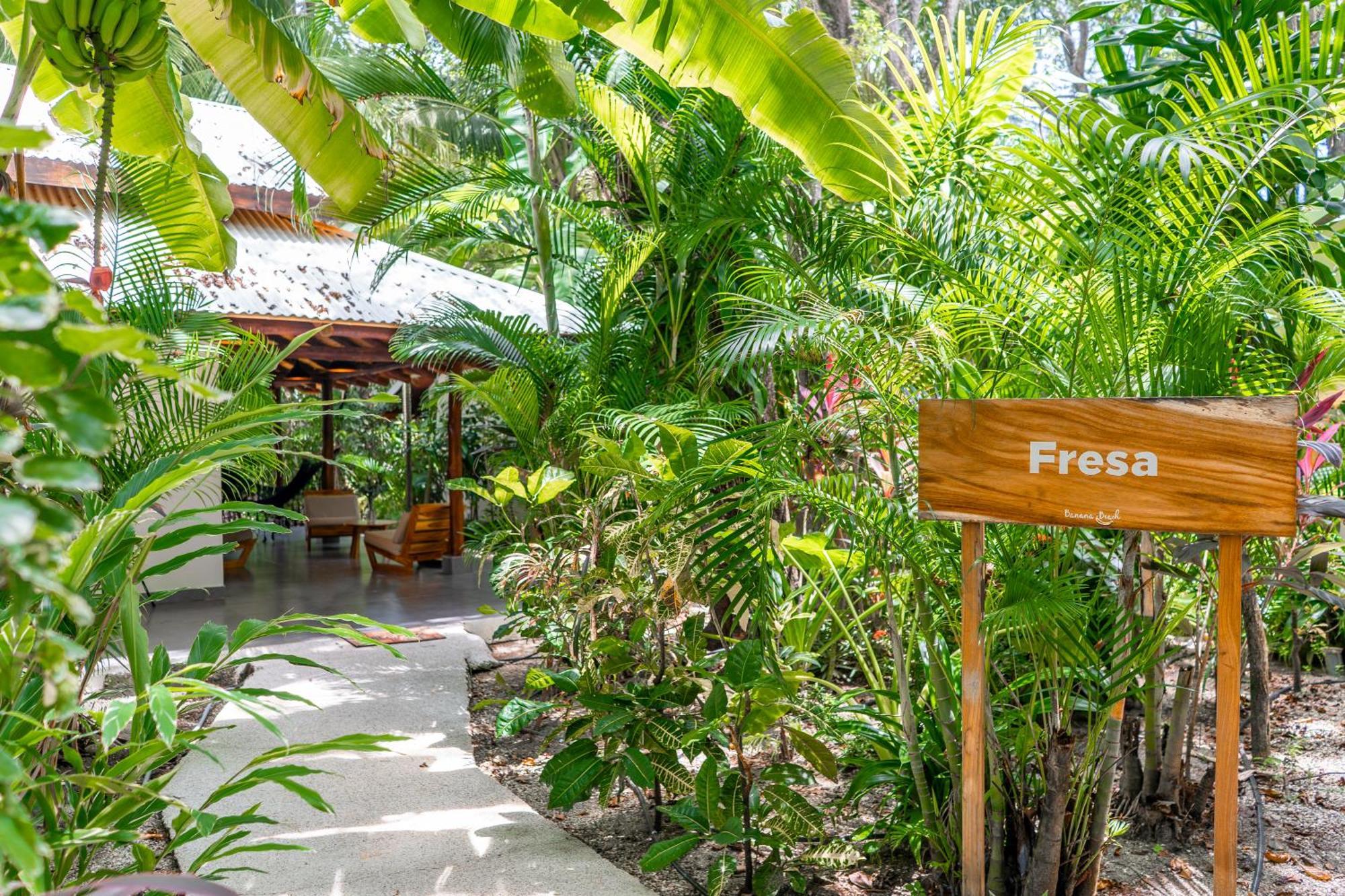 Banana Beach Bungalows Playa Santa Teresa  Екстер'єр фото